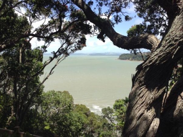 Clifftop View